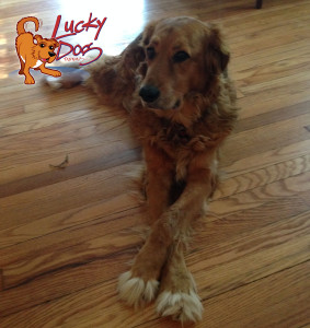 Holly Legs Crossed - Crop Logo High