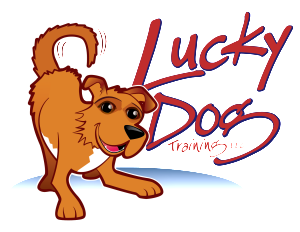 Lucky Dog Training Asheville
