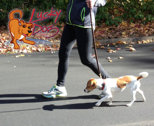 Sarah & Zelda - Baby Steps - Image Post